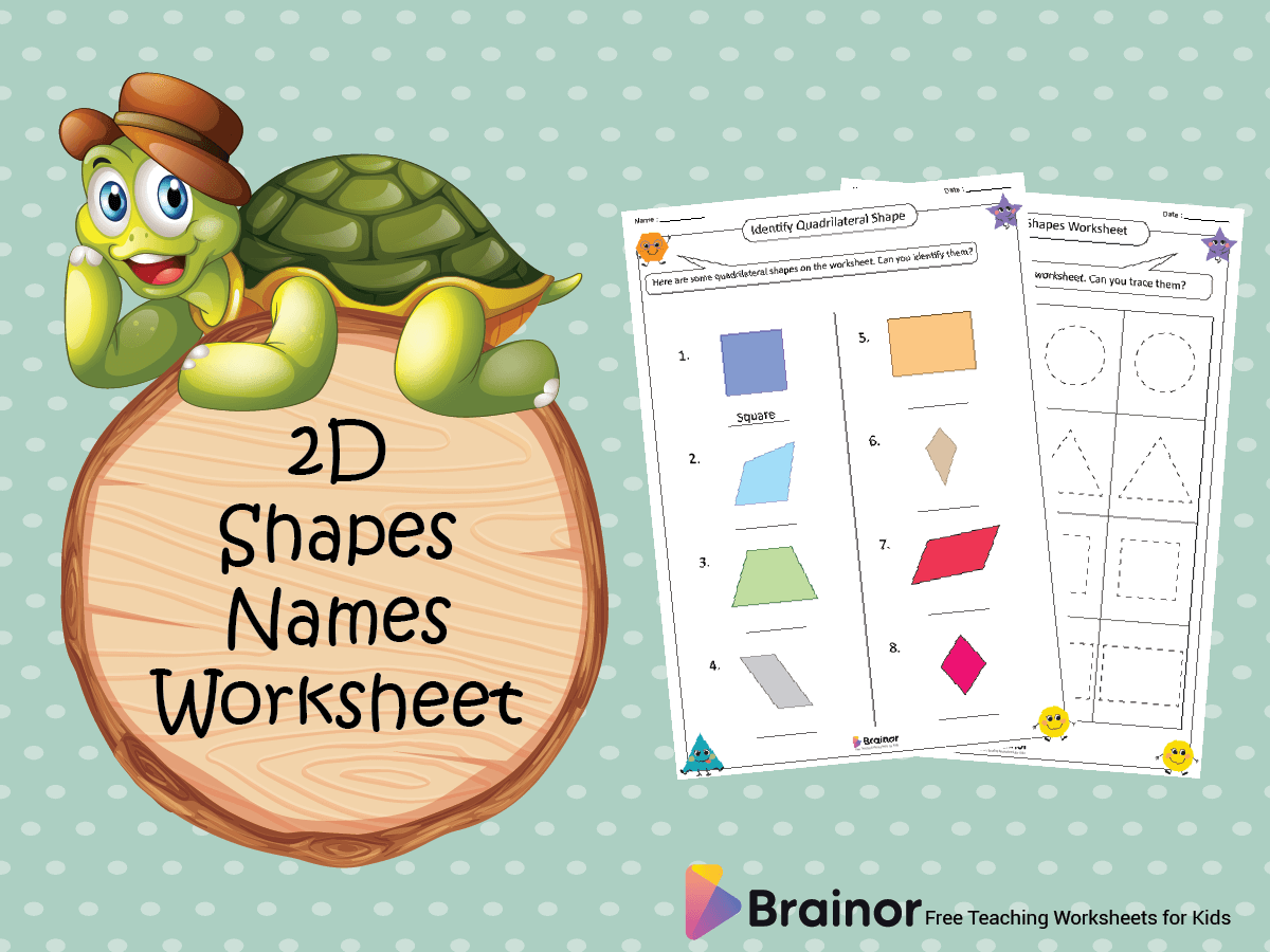 2D Shapes Names Worksheet