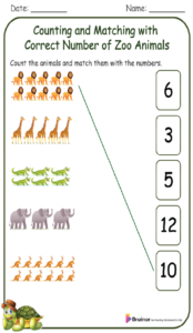Counting and Matching with Correct Number of Zoo Animals