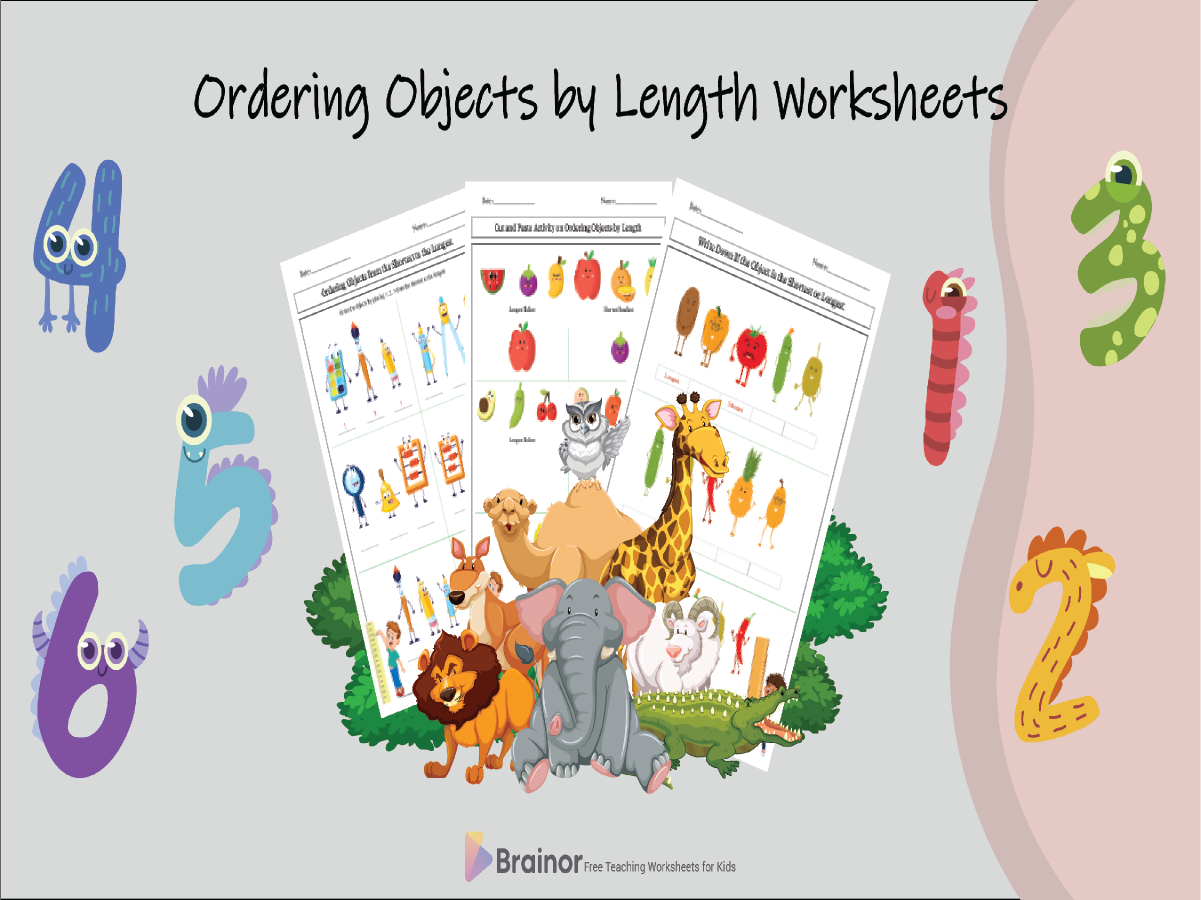 Ordering objects by lengths worksheets