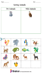Sorting Animals Worksheet