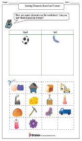 Sorting Elements Based on Texture Worksheets