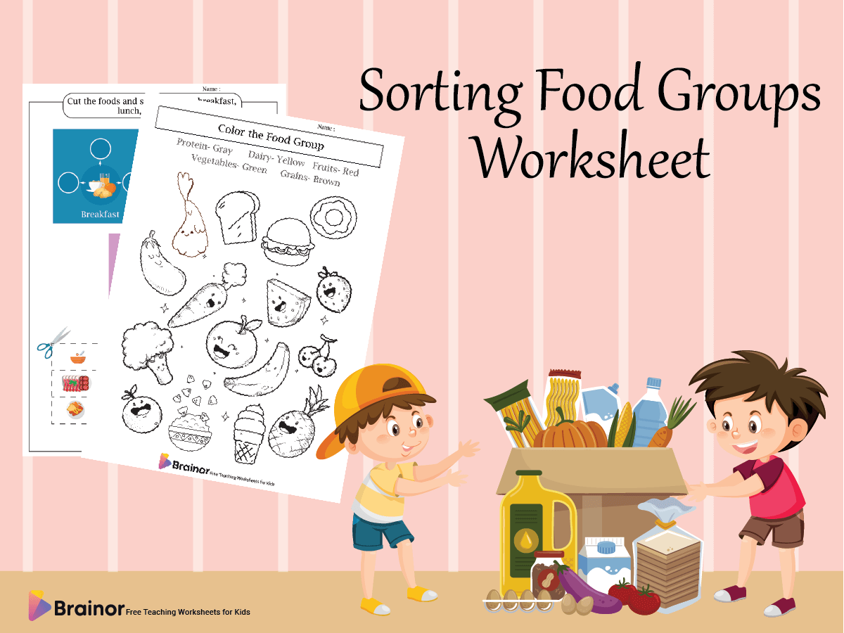 Sorting Food Groups Worksheet