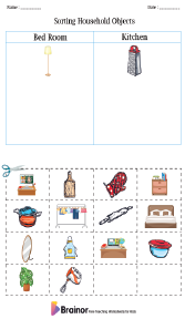 Sorting Household Objects Worksheet