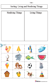 Sorting Living Objects Worksheets