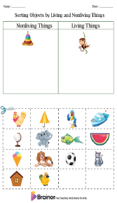 Sorting Objects by Living and Nonliving Things Worksheet