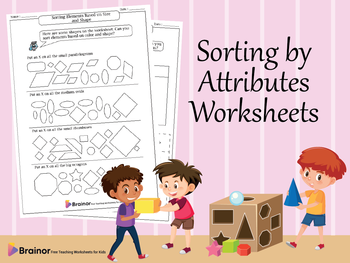 Sorting by Attributes Worksheets