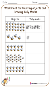 Worksheet for Counting Objects and Drawing Tally Mark