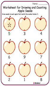 Worksheet for Drawing and Counting Apple Seeds 