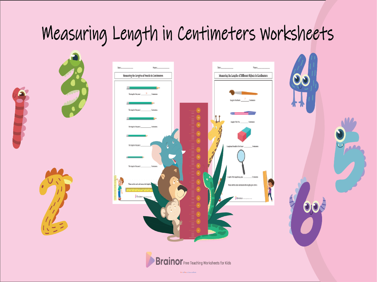 measuring lengths in centimeter worksheet