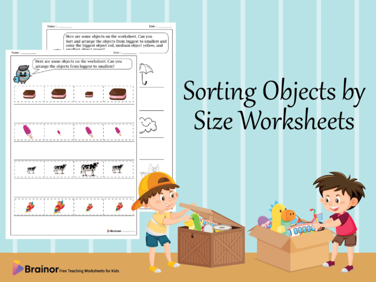 35+ Sorting Objects by Size Worksheets | Free Printable - Brainor
