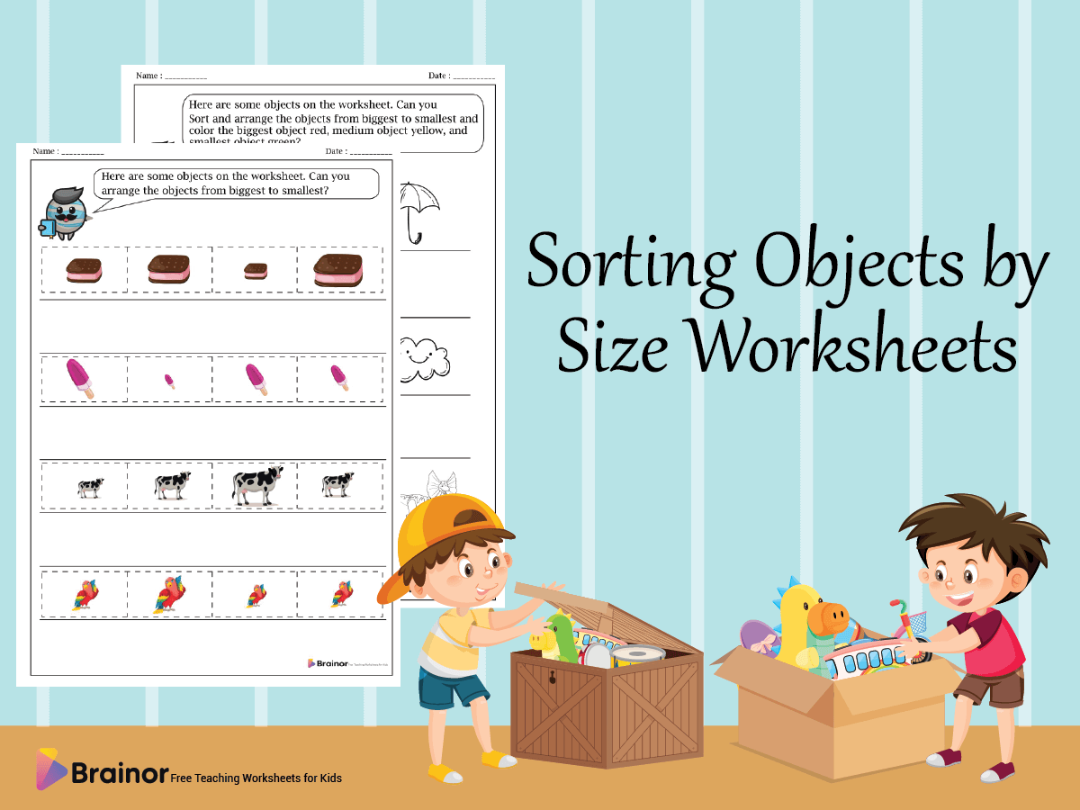 sorting objects by size worksheets