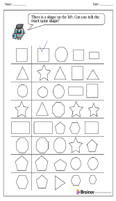 Sorting and Matching Same Objects by Size Worksheet
